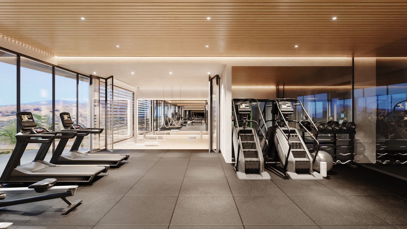 02 modern luxury gym view